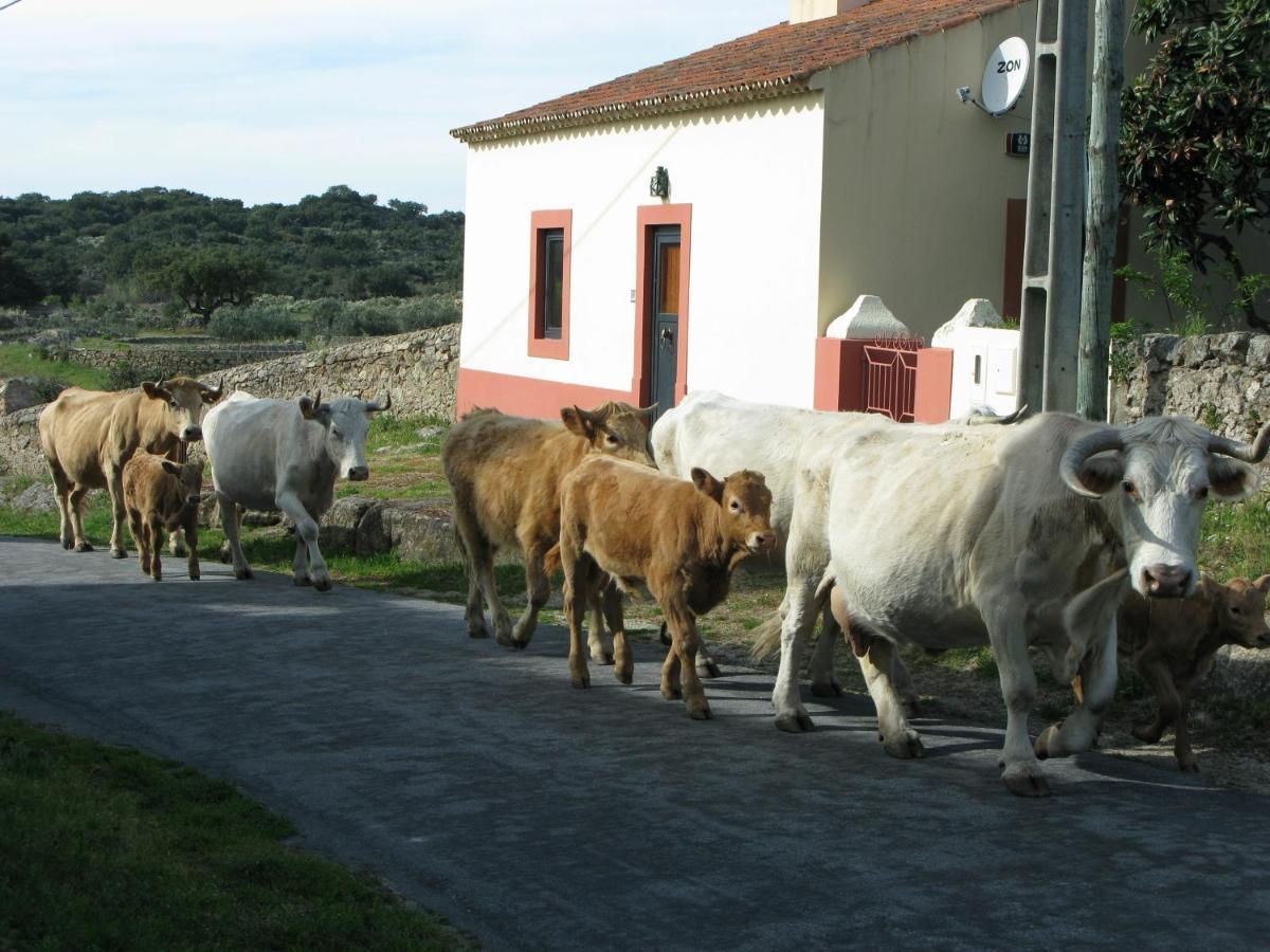 Casas Da Estacao, Country Houses Marvão 客房 照片